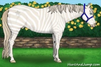 Horse Color:Smoky Creme Roan Dun 