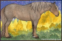 Horse Color:Chocolate Palomino Roan 