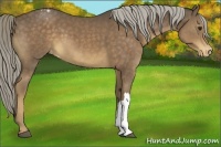 Horse Color:Chocolate Palomino Varnish 