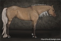 Horse Color:Silver Brown Dun