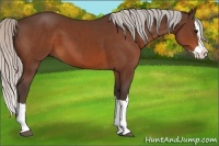 Horse Color:Silver Brown Splash 
