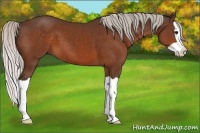 Horse Color:Silver Brown Splash 