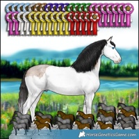 Horse Color:Brown Roan Dun Splash