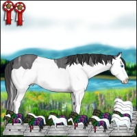 Horse Color:Smoky Black Ice Splash