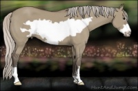 Horse Color:Silver Grullo Frame 