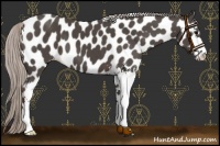 Horse Color:Silver Black Sabino Leopard 