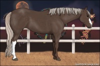 Horse Color:Silver Black 
