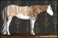 Horse Color:Gray Bay Splash Snowcap  and Red Dun Splash 