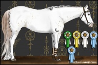 Horse Color:Red Dun Splash Tobiano Near Leopard  and Red Dun Splash Tobiano Blanket 