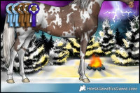 Horse Color:White Spotted Silver Black 