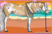 Horse Color:White Spotted Silver Sable Champagne Splash 
