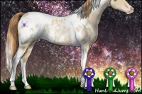 Horse Color:White Spotted Smoky Black Pearl Tobiano Appaloosa