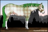 Horse Color:Watercolor Plaid Buckskin Onyx