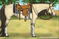 Horse Color:Buckskin Dun
