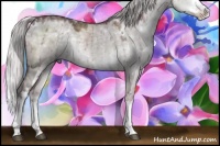 Horse Color:White Spotted Chocolate Silver Grullo Chinchilla Sabino Splash