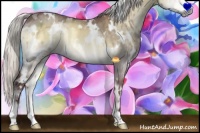 Horse Color:White Spotted Chocolate Silver Buckskin Chinchilla Onyx