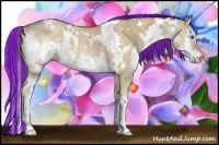 Horse Color:Painted White Spotted Liver Red Dun Splash Rabicano