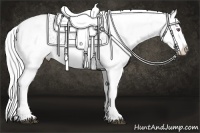 Horse Color:Silver Brown Chinchilla Dun Sabino Splash Blanket