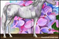 Horse Color:Plaid White Spotted Silver Buckskin Pearl Dun Tobiano Rabicano