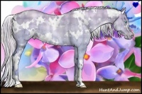 Horse Color:Watercolor Plaid  White Spotted Silver Buckskin Pearl Dun 