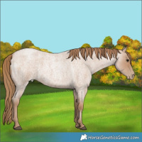 Horse Color:Blue Roan Pearl 
