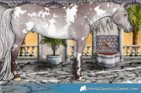 Horse Color:White Spotted Chocolate Silver Brown Chinchilla Dun 