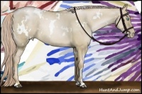 Horse Color:White Spotted Chocolate Palomino Pearl Dun