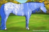 Horse Color:Watercolor Black Ice 