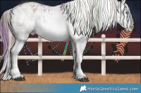 Horse Color:Plaid White Spotted Chocolate Palomino Dun Sabino Rabicano Brindle and Plaid White Spotted Liver Red Dun Sabino Rabicano Brindle