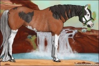 Horse Color:Liver Chestnut Sabino Rabicano  and Bay Sabino Splash Rabicano 