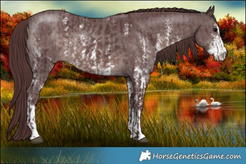 Horse Color:Platinum Chocolate Brown Sabino Rabicano  and Platinum Chocolate Brown Sabino Rabicano 