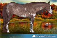 Horse Color:Platinum Chocolate Brown Sabino Rabicano  and Platinum Chocolate Brown Sabino Rabicano 