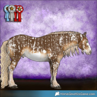 Horse Color:White Spotted Chocolate Palomino Sabino Appaloosa Rabicano  and Chocolate Palomino Sabino Frame Rabicano