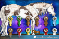 Horse Color:Liver Chestnut Sabino Splash Rabicano and Chocolate Palomino Pearl Sabino Splash Rabicano
