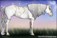 Horse Color:Nacre Palomino Appaloosa  and Gray Nacre Liver Chestnut Pearl Sabino Tobiano Appaloosa 
