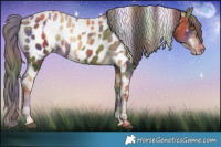 Horse Color:Nacre Palomino Near Leopard  and Gray Nacre Liver Chestnut Pearl Sabino Tobiano Near Leopard 