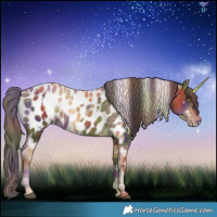 Horse Color:Nacre Palomino Near Leopard  and Gray Nacre Liver Chestnut Pearl Sabino Tobiano Near Leopard 