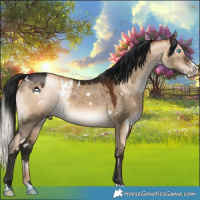 Horse Color:Gray White Spotted Silver Sable Champagne Pearl Dun Mushroom  and Gray White Spotted Brown Dun Mushroom Splash