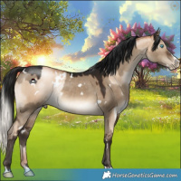 Horse Color:Gray White Spotted Silver Sable Champagne Pearl Dun Mushroom and Gray White Spotted Brown Dun Mushroom Splash