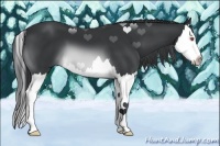 Horse Color:Buckskin Chinchilla Sabino Splash 