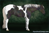 Horse Color:Midnight Silver Black Ice Tobiano 