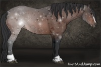 Horse Color:Brown Sabino