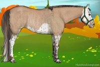 Horse Color:Liver Red Dun Roan Sabino Rabicano  and Bay Roan Dun Sabino Splash Rabicano 