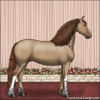 Horse Color:Red Dun 