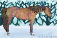 Horse Color:Nacre Bay