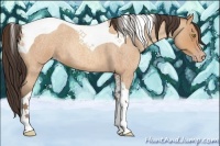 Horse Color:Amber Champagne Roan Tobiano 