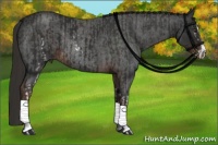 Horse Color:White Spotted Liver Chestnut Sabino  and Liver Red Roan Sabino Rabicano 