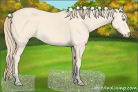 Horse Color:Perlino Sabino Rabicano  and Perlino Sabino Rabicano 