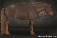 Horse Color:Liver Chestnut 