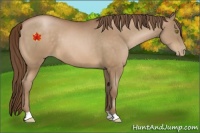 Horse Color:Brown Pearl 